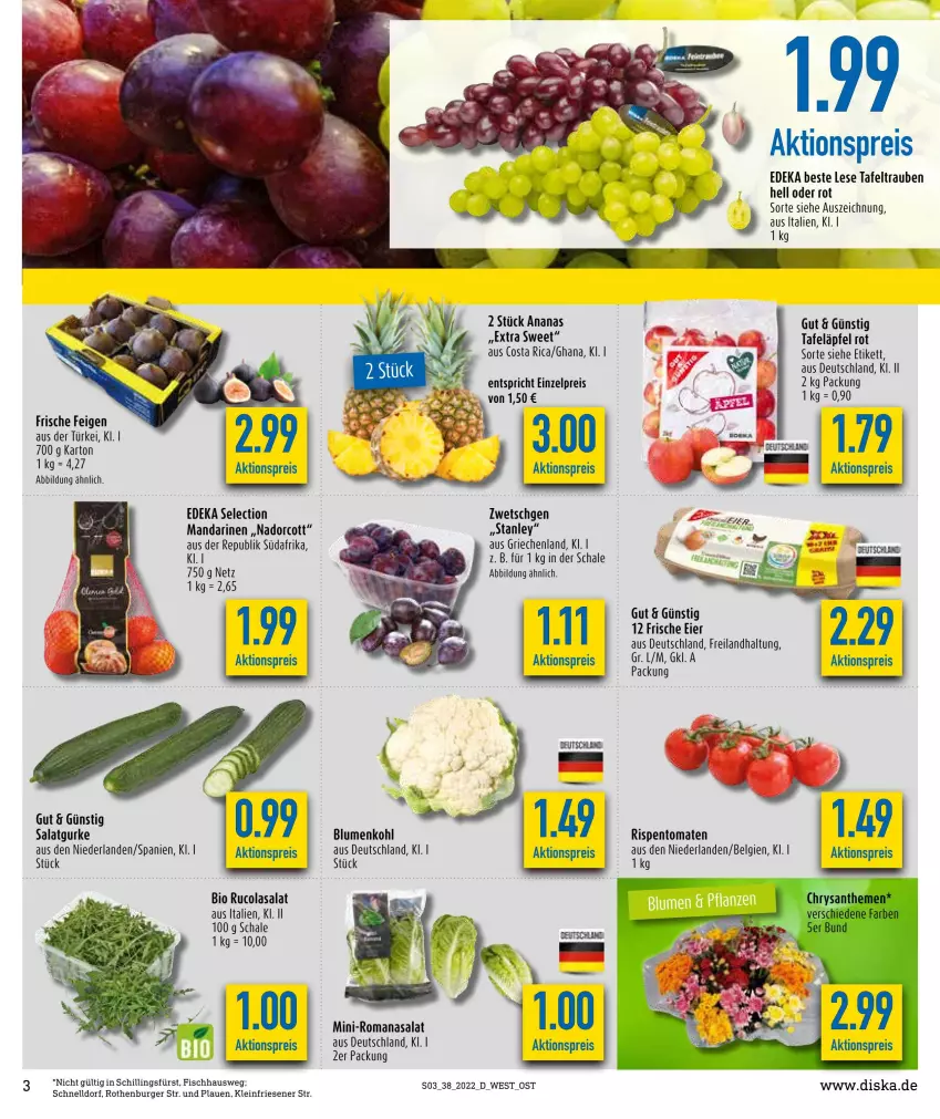 Aktueller Prospekt Diska - Prospekte - von 19.09 bis 24.09.2022 - strona 3 - produkty: aktionspreis, ananas, bio, blume, blumen, blumenkohl, burger, chrysanthemen, cola, deka, eier, eis, Feigen, fisch, gurke, LG, mandarine, mandarinen, reis, rispentomaten, Romanasalat, rucola, salat, Salatgurke, Schal, Schale, tafeläpfel, tafeltrauben, Ti, tomate, tomaten, trauben