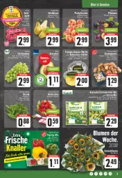 Gazetka promocyjna E Center - Angebote der Woche - Gazetka - ważna od 15.07 do 15.07.2023 - strona 3 - produkty: aktionspreis, ananas, angebot, beutel, Birnen, blume, blumen, bonduelle, braun, champignon, champignons, champignons braun, cola, discount, eis, elle, fleisch, Garten, kokos, kokosnuss, kopfsalat, kräuter, nuss, obst, pflaume, pflaumen, radieschen, reis, rucola, salat, Schal, Schale, sonnenblume, sonnenblumen, tafelbirnen, tafeltrauben, Ti, trauben, würfel