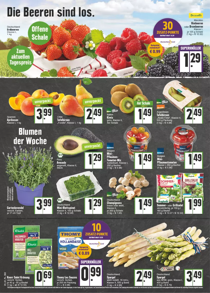 Aktueller Prospekt E Center - Angebote der Woche - von 06.06 bis 11.06.2022 - strona 2 - produkty: aprikose, aprikosen, avocado, Becher, beere, beeren, beutel, Birnen, blattspinat, braun, brombeere, brombeeren, elle, ente, erdbeere, erdbeeren, forelle, Garten, himbeer, himbeere, himbeeren, kiwi, lavendel, LG, pflaume, pflaumen, rel, sauce, Schal, Schale, spargel, spinat, tafelbirnen, tee, thomy, thomy les sauces, Ti, tomate, tomaten, topf