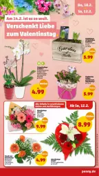 Gazetka promocyjna Penny - Prospekte - Gazetka - ważna od 12.02 do 12.02.2022 - strona 23 - produkty: Gerber, Holz, Mett, orchidee, rosen, Schmetterling, Ti, ZTE