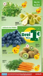 Gazetka promocyjna Penny - Prospekte - Gazetka - ważna od 12.02 do 12.02.2022 - strona 5 - produkty: beere, beeren, Birnen, Bundmöhren, fenster, heidelbeere, heidelbeeren, kiwi, möhren, Schal, Schale, Ti