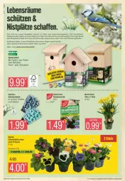 Gazetka promocyjna Edeka - Prospekte - Gazetka - ważna od 17.02 do 17.02.2024 - strona 6 - produkty: brut, deka, eis, erde, Garten, handschuhe, Holz, Narzissen, pflanze, pflanzen, Pinsel, Primeln, reis, schuhe, Schütze, Ti, Tiere, ZTE