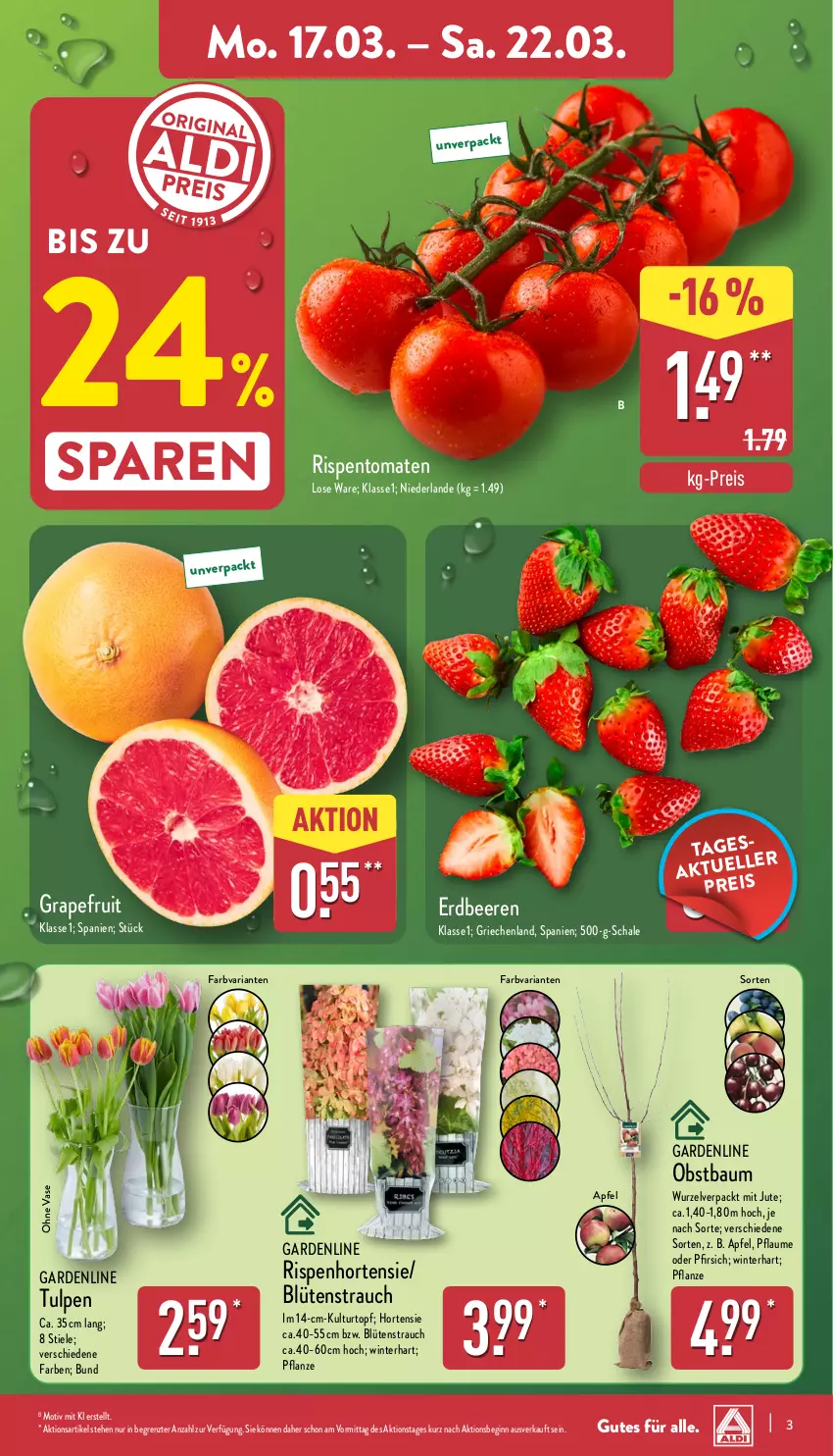 Aktueller Prospekt Aldi Nord - Von Montag - von 17.03 bis 22.03.2025 - strona 3 - produkty: apfel, Bau, beere, beeren, Blüte, Brei, eis, erdbeere, erdbeeren, gin, grapefruit, hortensie, kulturtopf, obst, pfirsich, pflanze, pflaume, Rauch, reis, Ria, rispentomaten, Schal, Schale, Ti, tomate, tomaten, topf, Vase, ZTE