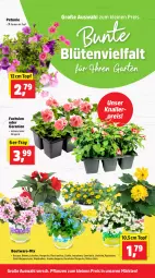 Gazetka promocyjna Thomas Philipps - Gazetka - ważna od 25.04 do 25.04.2026 - strona 2 - produkty: Begonie, Blüte, dahlie, eis, Garten, geranie, geranien, knallerpreis, leine, lion, Lobelie, petunie, pflanze, pflanzen, reis, Ti, topf, vita