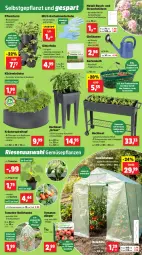 Gazetka promocyjna Thomas Philipps - Gazetka - ważna od 25.04 do 25.04.2026 - strona 7 - produkty: basilikum, Bau, beere, beeren, brause, bügel, dünger, erdbeere, erdbeeren, Garten, Gartenpflanze, Gewächshaus, Gießkanne, gurke, gurken, handschuhe, kartoffel, kartoffeln, korb, kraft, kräuter, küche, Küchen, LG, melone, ndk, obst, peperoni, Peroni, petersilie, pflanze, pflanzen, Rauch, Sandkasten, schlauch, schnittlauch, schuhe, spartipp, Sport, Ti, Tiere, tomate, tomaten, topf, wasser, wassermelone