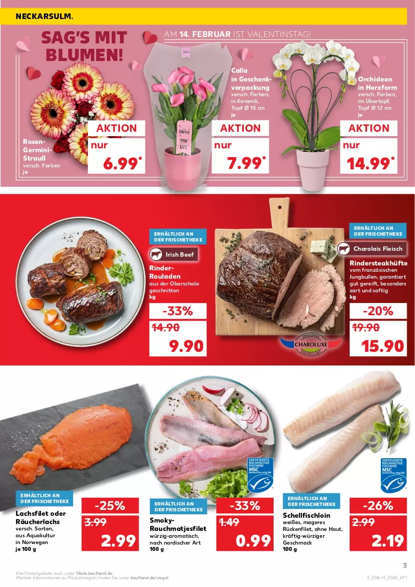 Aktueller Prospekt Kaufland - Spezielle Angebote - von 10.02 bis 16.02.2022 - strona 3 - produkty: angebot, angebote, aqua, beef, blume, blumen, eis, filet, fisch, fleisch, Germ, jungbullen, lachs, lachsfilet, mac, matjes, Matjesfilet, orchidee, orchideen, Rauch, Räucherlachs, rind, rinder, Rinderroulade, rinderrouladen, Rindersteak, rosen, rouladen, rwe, saft, Schal, Schale, schnitten, steak, steakhüfte, Ti, tisch, topf, topf ø 12 cm, übertopf