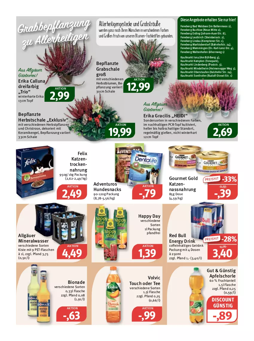 Aktueller Prospekt Feneberg - Prospekte - von 20.10 bis 22.10.2022 - strona 11 - produkty: adventuros, Alwa, angebot, angebote, apfel, Apfelschorle, auer, Bad, ball, bio, bionade, blume, blumen, buch, chloe, coffein, Diesel, discount, drink, Egger, eis, elle, emmi, energy drink, Engel, erde, felix, flasche, frucht, getränk, gourmet gold, Grabschale, Happy Day, hundesnack, hundesnacks, LG, mineralwasser, Nassnahrung, Ofen, pet-flasche, pet-flaschen, pflanze, pflanzen, red bull, reis, Schal, Schale, schorle, snack, snacks, tee, Ti, topf, Trockennahrung, volvic, wasser, ZTE