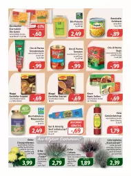 Gazetka promocyjna Feneberg - Prospekte - Gazetka - ważna od 22.10 do 22.10.2022 - strona 8 - produkty: bernbacher, beutel, bio, bonduelle, bonduelle goldmais, chrysanthemen, discount, Draht, eier, eiernudeln, eis, elle, flasche, gewürz, gewürzketchup, Goldmais, Hela, ketchup, knorr, LG, maggi, mais, mayonnaise, nudel, nudeln, oro di parma, reis, sauce, saucen, senf, Soße, Sugo, suppe, suppen, teller, Ti, tomate, tomaten, tomatenmark, topf, Yo