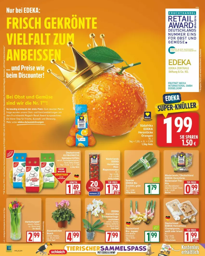 Aktueller Prospekt Edeka - Prospekte - von 13.10 bis 18.10.2025 - strona 2 - produkty: eier, frucht, LG, tee, Ti