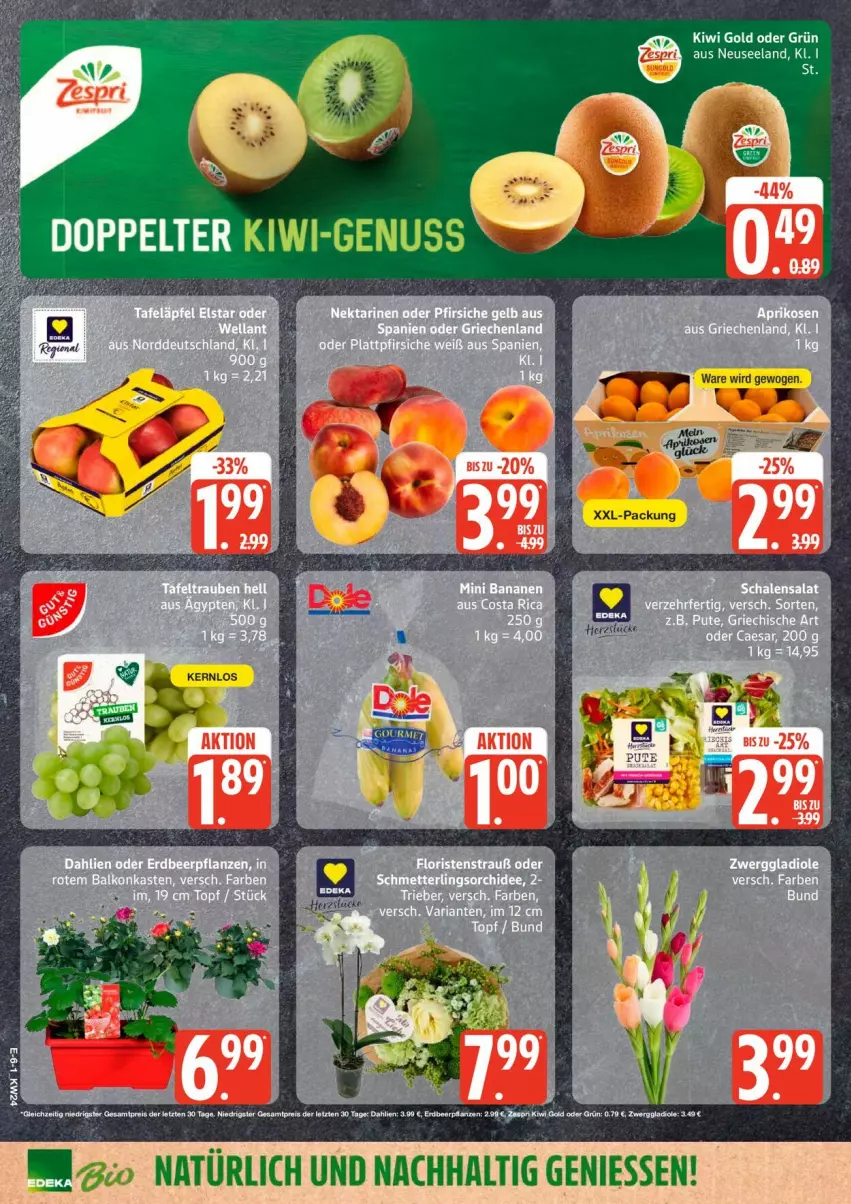 Aktueller Prospekt Edeka - Prospekte - von 08.06 bis 13.06.2026 - strona 8 - produkty: dahlie, eis, Elan, kiwi, Kiwi Gold, reis, Ti, xxl-packung, ZTE