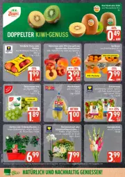 Gazetka promocyjna Edeka - Prospekte - Gazetka - ważna od 13.06 do 13.06.2026 - strona 8 - produkty: dahlie, eis, Elan, kiwi, Kiwi Gold, reis, Ti, xxl-packung, ZTE