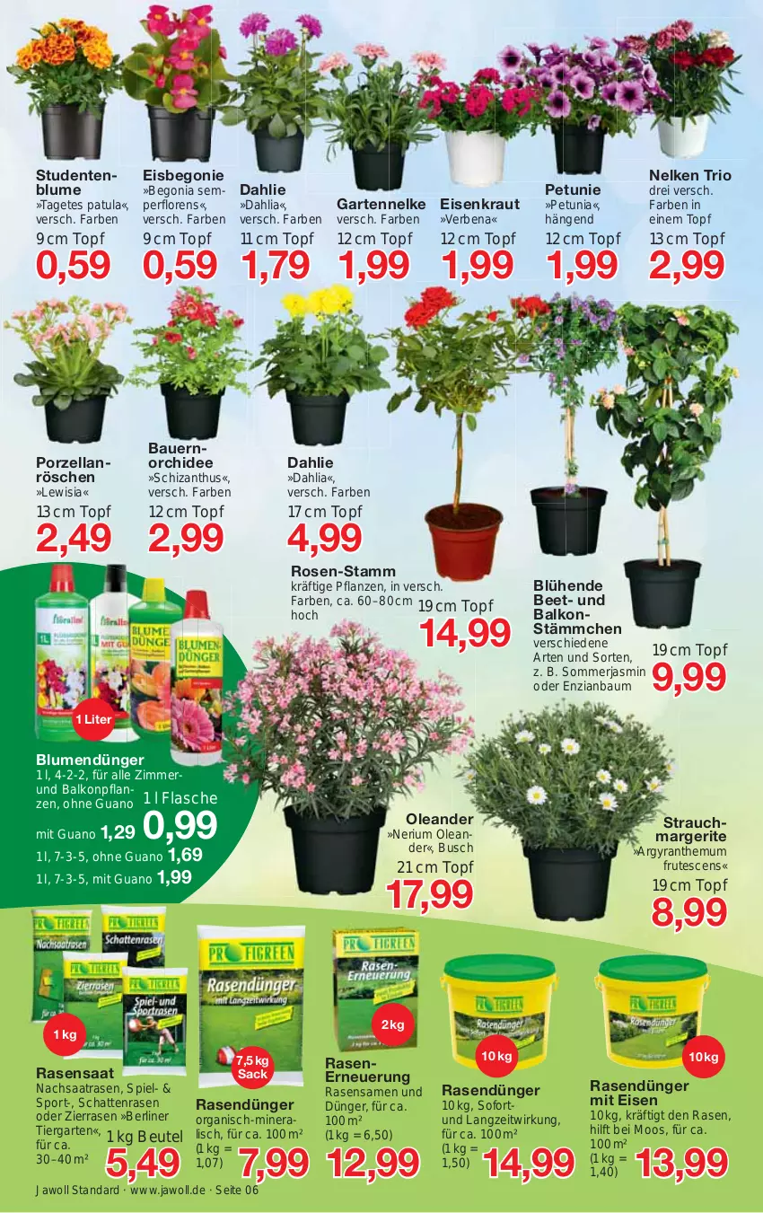 Aktueller Prospekt Jawoll - Prospekte - von 23.04 bis 29.04.2023 - strona 6 - produkty: auer, balkonpflanzen, Bau, Bauer, Begonia, Begonie, berliner, beutel, blume, blumen, dahlie, dünger, eis, ente, flasche, Garten, gartennelke, Kraut, orchidee, petunie, pflanze, pflanzen, rasen, rasendünger, rasensamen, Rauch, rosen, sac, Sport, Ti, topf