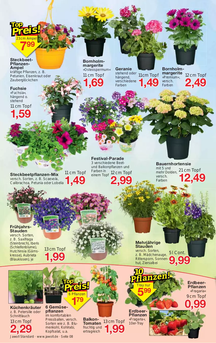 Aktueller Prospekt Jawoll - Prospekte - von 23.04 bis 29.04.2023 - strona 8 - produkty: auer, balkonpflanzen, ball, Bau, Bauer, beetpflanzen, blume, blumen, blumenkohl, brie, calibrachoa, eis, Erdbeerpflanze, frucht, geranie, hortensie, kissen, kohlrabi, kopfsalat, Kraut, kräuter, küche, Küchen, petersilie, petunie, petunien, pflanze, pflanzen, Ria, ritter, salat, schnittlauch, stauden, Ti, tomate, tomaten, topf, zauberglöckchen