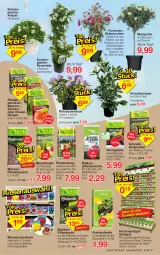 Gazetka promocyjna Jawoll - Prospekte - Gazetka - ważna od 29.04 do 29.04.2023 - strona 7 - produkty: balkonpflanzen, beere, beeren, blume, blumen, Container, dünger, eis, elle, erde, Garten, geranie, geranien, HP, kirsch, Komposter, pflanze, pflanzen, pflanzerde, reis, rind, rindenmulch, rinder, rosen, sac, Spezi, Ti, topf, zwiebel, zwiebeln