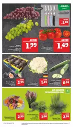 Gazetka promocyjna Marktkauf - Prospekt - Gazetka - ważna od 24.09 do 24.09.2022 - strona 11 - produkty: deka, eis, gurke, reis, rispentomaten, salat, Salatgurke, tafeltrauben, tee, Ti, tomate, tomaten, trauben