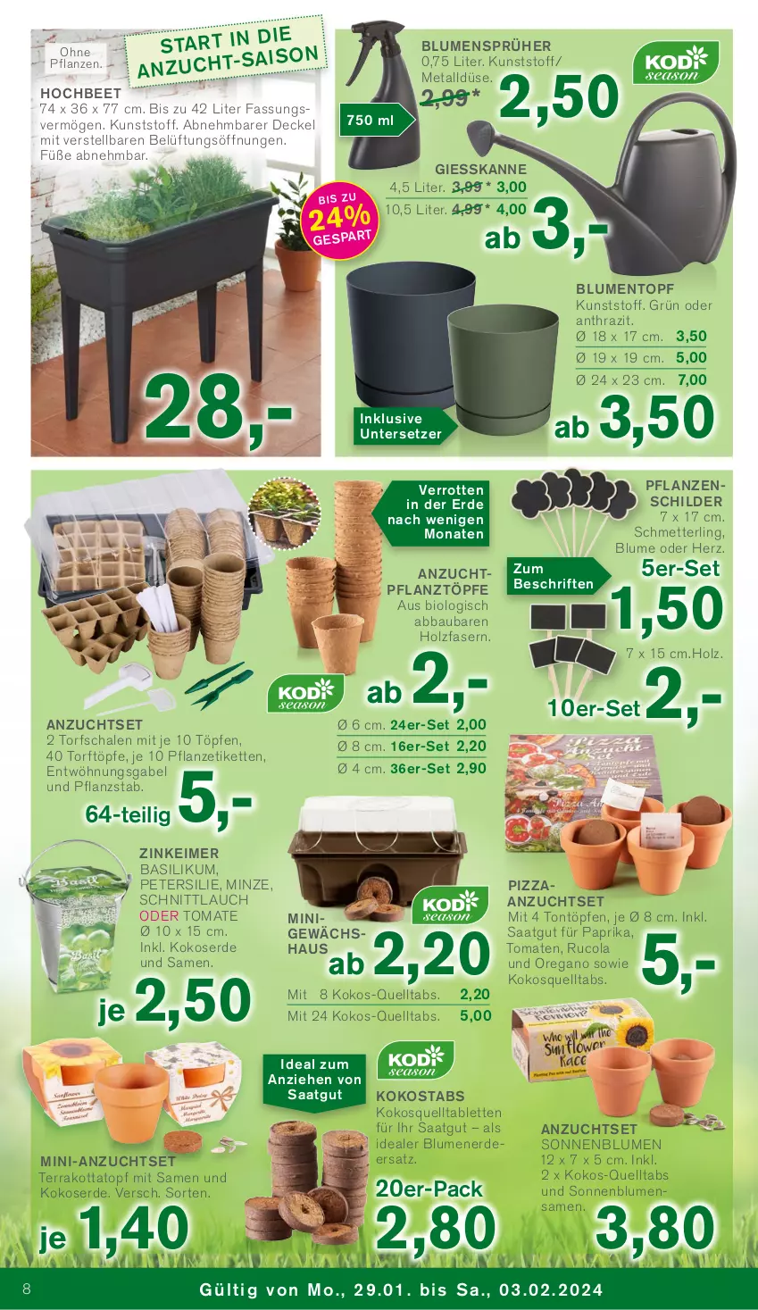 Aktueller Prospekt Kodi - Prospekte - von 29.01 bis 03.02.2024 - strona 8 - produkty: Abba, basilikum, Bau, bio, blume, blumen, blumenerde, cola, decke, Deckel, eimer, erde, gabel, Gewächshaus, Holz, Kette, kokos, Mett, minze, paprika, petersilie, pflanze, pflanzen, pizza, rucola, Schal, Schale, Schmetterling, schnittlauch, sonnenblume, sonnenblumen, Ti, tomate, tomaten, topf, Untersetzer