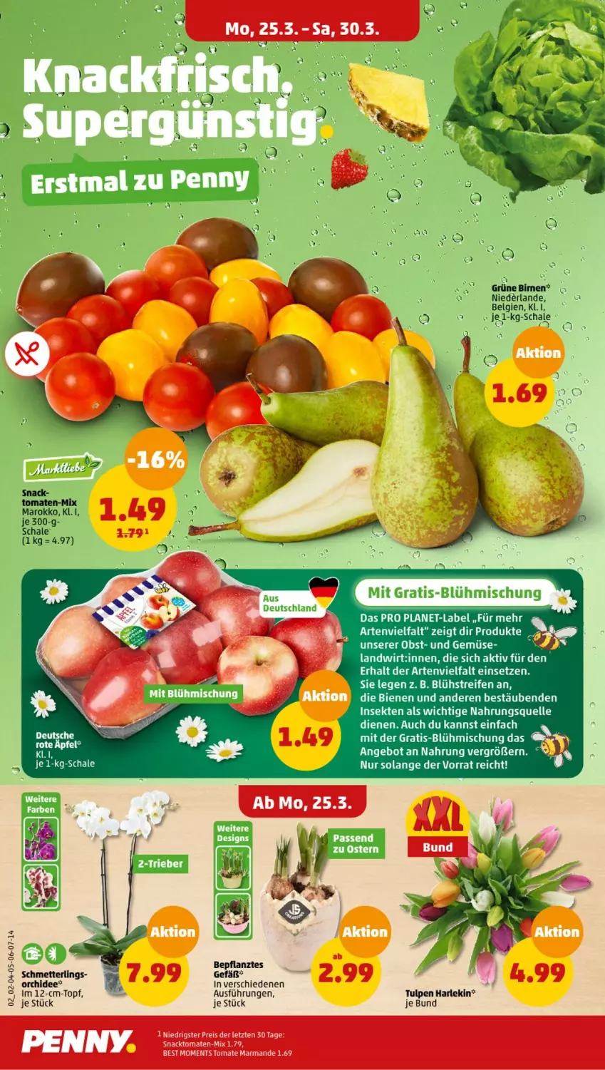 Aktueller Prospekt Penny - Prospekte - von 25.03 bis 30.03.2024 - strona 2 - produkty: angebot, Birnen, elle, LG, Mett, obst, orchidee, reifen, Schal, Schale, Schmetterling, sekt, Ti, topf, und gemüse, ZTE