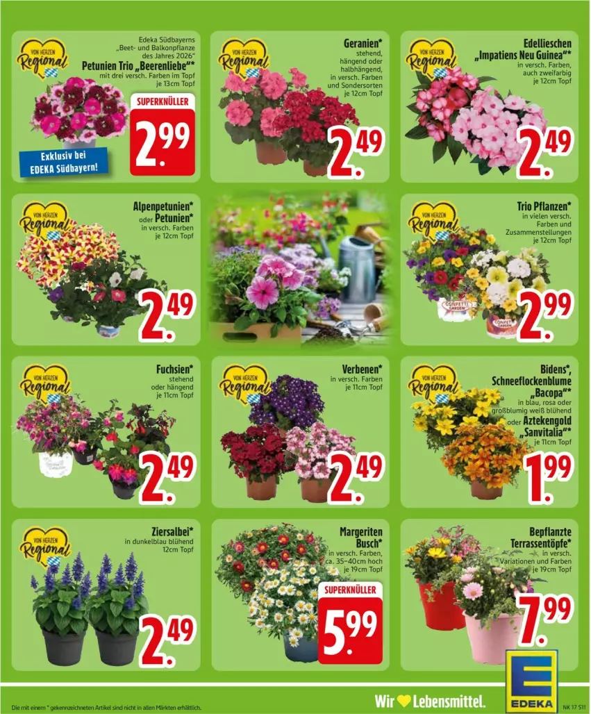 Aktueller Prospekt Edeka - Prospekte - von 20.04 bis 25.04.2026 - strona 13 - produkty: beere, beeren, deka, dell, edellieschen, geranie, geranien, petunie, petunien, pflanze, pflanzen, Ria, Ti, topf, ZTE