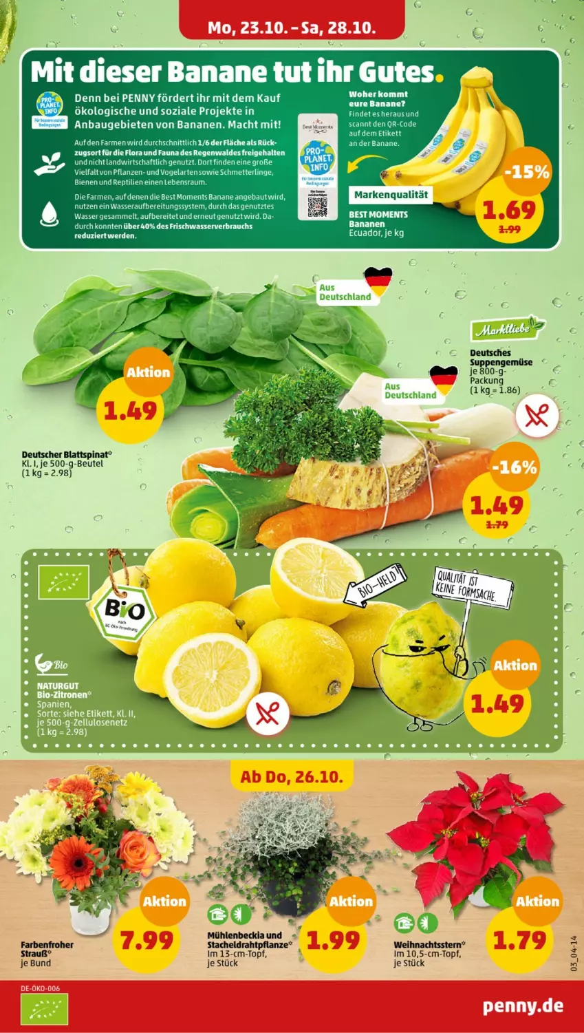 Aktueller Prospekt Penny - Prospekte - von 23.10 bis 28.10.2023 - strona 3 - produkty: beutel, blattspinat, Draht, pflanze, pflanzen, Rauch, spinat, suppe, suppen, Ti, topf, wasser