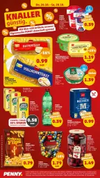 Gazetka promocyjna Penny - Prospekte - Gazetka - ważna od 28.10 do 28.10.2023 - strona 38 - produkty: auer, Becher, blume, blumen, eis, elle, erdnuss, essig, kirsch, kirsche, kirschen, korn, LG, margarine, milch, milchreis, ndk, nuss, pflanze, pflanzen, reis, sonnenblume, sonnenblumen, Ti, ZTE, zucker