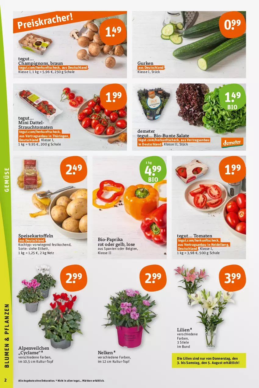 Aktueller Prospekt Tegut - Angebote der Woche - von 31.07 bis 05.08.2023 - strona 4 - produkty: Alpenveilchen, angebot, angebote, Bau, bio, Bio-Paprika, braun, bunte salate, champignon, champignons, dekoration, eis, gurke, gurken, kartoffel, kartoffeln, LG, paprika, paprika rot, Rauch, reis, ring, salat, salate, Schal, Schale, speisekartoffeln, strauchtomaten, Ti, tomate, tomaten, topf