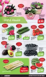 Gazetka promocyjna Markant - Prospekte - Gazetka - ważna od 27.05 do 27.05.2023 - strona 4 - produkty: avocado, avocados, beere, beeren, bio, bio gurken, discount, gurke, gurken, gutes essen, heidelbeere, heidelbeeren, Lauchzwiebel, lauchzwiebeln, melone, melonen, radieschen, Rauch, Schal, Schale, strauchtomaten, Ti, tomate, tomaten, wasser, wassermelone, wassermelonen, ZTE, zwiebel, zwiebeln