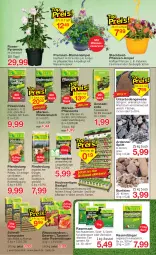 Gazetka promocyjna Jawoll - Prospekte - Gazetka - ważna od 20.05 do 20.05.2023 - strona 6 - produkty: beere, beeren, beetpflanzen, berliner, beutel, blume, blumen, Blumenampel, dünger, eis, elle, erde, Garten, HP, Komposter, Kraut, natur, Pellets, petunie, petunien, pflanze, pflanzen, pflanzerde, rasen, rasendünger, reis, rind, rindenmulch, rinder, rosen, sac, Spezi, Sport, Ti, topf, wasser, zauberglöckchen