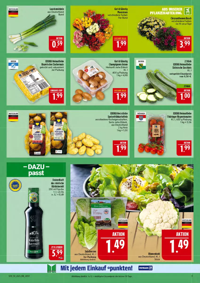 Aktueller Prospekt Marktkauf - Prospekt - von 20.07 bis 26.07.2025 - strona 9 - produkty: ackergold, blume, blumen, blumenkohl, braun, champignon, champignons, champignons braun, chrysanthemen, deka, discount, eis, flasche, Frühkartoffeln, kartoffel, kartoffeln, kraft, Kürbis, Kürbiskernöl, Lauchzwiebel, lauchzwiebeln, mais, reis, ring, rispentomaten, rosen, sac, salat, salatherzen, speisefrühkartoffeln, Ti, tomate, tomaten, topf, ZTE, zucchini, zucker, zuckermais, zwiebel, zwiebeln