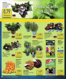 Gazetka promocyjna Diska - Gazetka - ważna od 16.03 do 16.03.2024 - strona 2 - produkty: aktionspreis, bio, blume, blumen, blumenerde, deka, edeka bio, eis, erde, freilandkräuter, kartoffel, kartoffeln, kräuter, lavendel, mehl, ndk, pflanze, Pflanztopf, reis, rosmarin, sac, Stier, Ti, topf, zwiebel