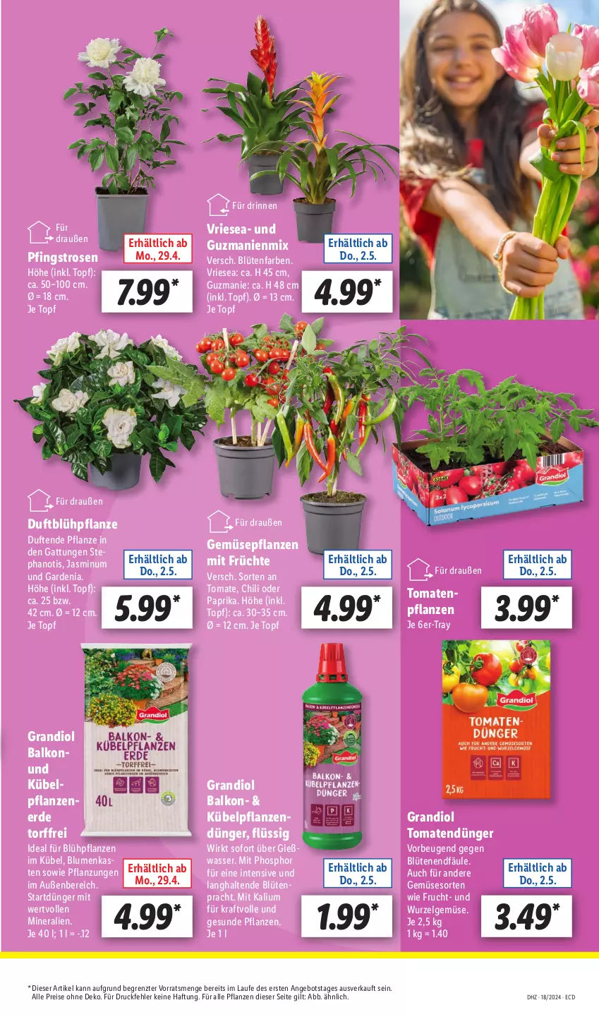 Aktueller Prospekt Lidl - Aktionsprospekt - von 29.04 bis 04.05.2024 - strona 5 - produkty: angebot, blume, blumen, Blüte, chili, dünger, eis, erde, frucht, früchte, HP, kraft, kübelpflanzen, Kübelpflanzenerde, LG, paprika, Pfingstrosen, pflanze, pflanzen, reis, rosen, Ti, tomate, tomaten, topf, wasser, ZTE