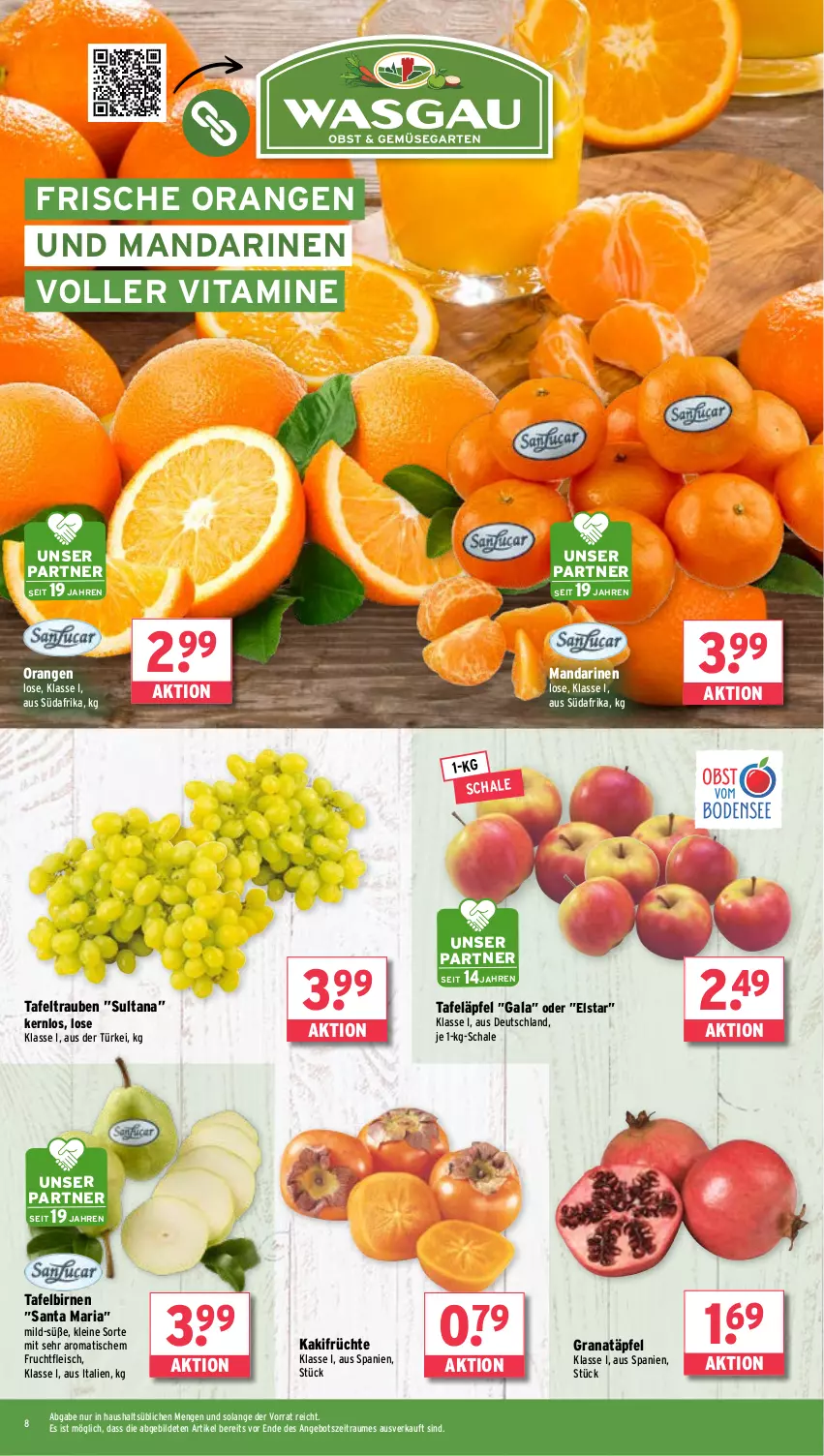 Aktueller Prospekt Wasgau - von 30.09 bis 05.10.2024 - strona 8 - produkty: angebot, Birnen, eis, fleisch, frucht, früchte, fruchtfleisch, grana, Granatäpfel, Kaki, leine, mandarine, mandarinen, orange, orangen, Rana, Ria, Schal, Schale, tafeläpfel, tafelbirnen, tafeltrauben, Ti, tisch, trauben, vita, Vitamine