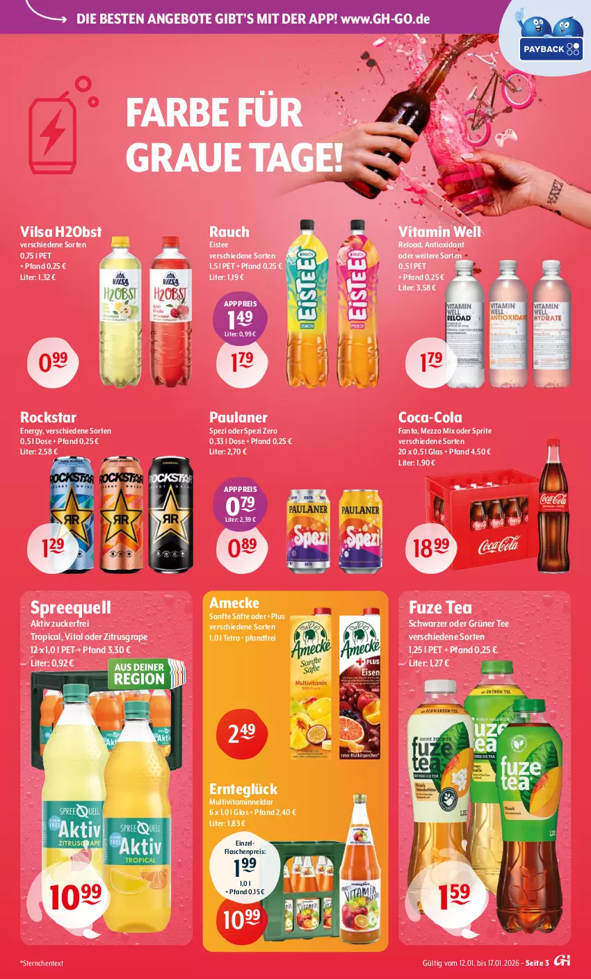 Aktueller Prospekt Getraenke Hoffmann - Prospekte - von 12.01 bis 17.01.2026 - strona 3 - produkty: amecke, angebot, angebote, coca-cola, cola, eis, eistee, ente, fanta, flasche, fuze tea, grüner tee, Mezzo Mix, Nektar, obst, oder sprite, Paula, paulaner, Rauch, reis, rel, Rockstar, säfte, Spezi, Spreequell, sprite, tee, Ti, vilsa, vita, zucker