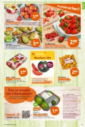 Gazetka promocyjna Tegut - Angebote der Woche - Gazetka - ważna od 27.08 do 27.08.2022 - strona 5 - produkty: angebot, angebote, Bau, beere, beeren, bio, Birnen, cocktail, cocktails, dekoration, Elan, elle, erdbeere, erdbeeren, erde, früchte, limette, limetten, mac, melone, melonen, Mett, metten, Nektar, nektarinen, obst, orange, reifen, ring, rwe, Schal, Schale, schnitten, Ti, wasser, wassermelone, wassermelonen