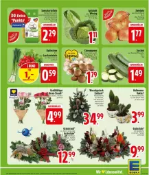 Gazetka promocyjna Edeka - Prospekte - Gazetka - ważna od 31.10 do 31.10.2026 - strona 5 - produkty: braun, champignon, champignons, deka, eis, Grabschale, kartoffel, kartoffeln, Lauchzwiebel, lauchzwiebeln, LG, reis, Ria, rosen, Schal, Schale, speisekartoffeln, spitzkohl, Ti, topf, Wirsing, zucchini, zwiebel, zwiebeln