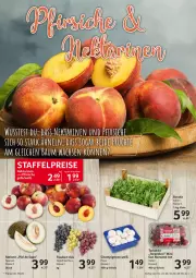 Gazetka promocyjna Selgros - Food - Gazetka - ważna od 29.06 do 29.06.2022 - strona 3 - produkty: eis, melone, reis, Schal, Schale, Ti, tomate, tomaten, trauben