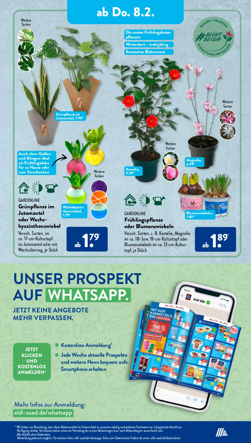 Aktueller Prospekt AldiSud - IN ZWEI WOCHEN - von 05.02 bis 10.02.2024 - strona 12 - produkty: aldi, alle artikel ohne dekoration, angebot, angebote, blume, blumen, Blüte, dekoration, elle, gin, kulturtopf, Mantel, pflanze, pflanzen, smartphone, Ti, tisch, topf, ZTE, zwiebel, zwiebeln