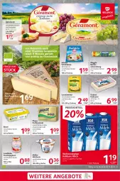 Gazetka promocyjna Selgros - Food - Gazetka - ważna od 12.04 do 12.04.2023 - strona 9 - produkty: becel, Becher, butter, eis, frucht, fruchtjoghurt, Halloumi, haltbare milch, joghur, joghurt, Käse, landliebe, leerdammer, meggle, milch, milchreis, Müller, preisvorteil, reis, ritter, salakis, schafskäse, weihenstephan