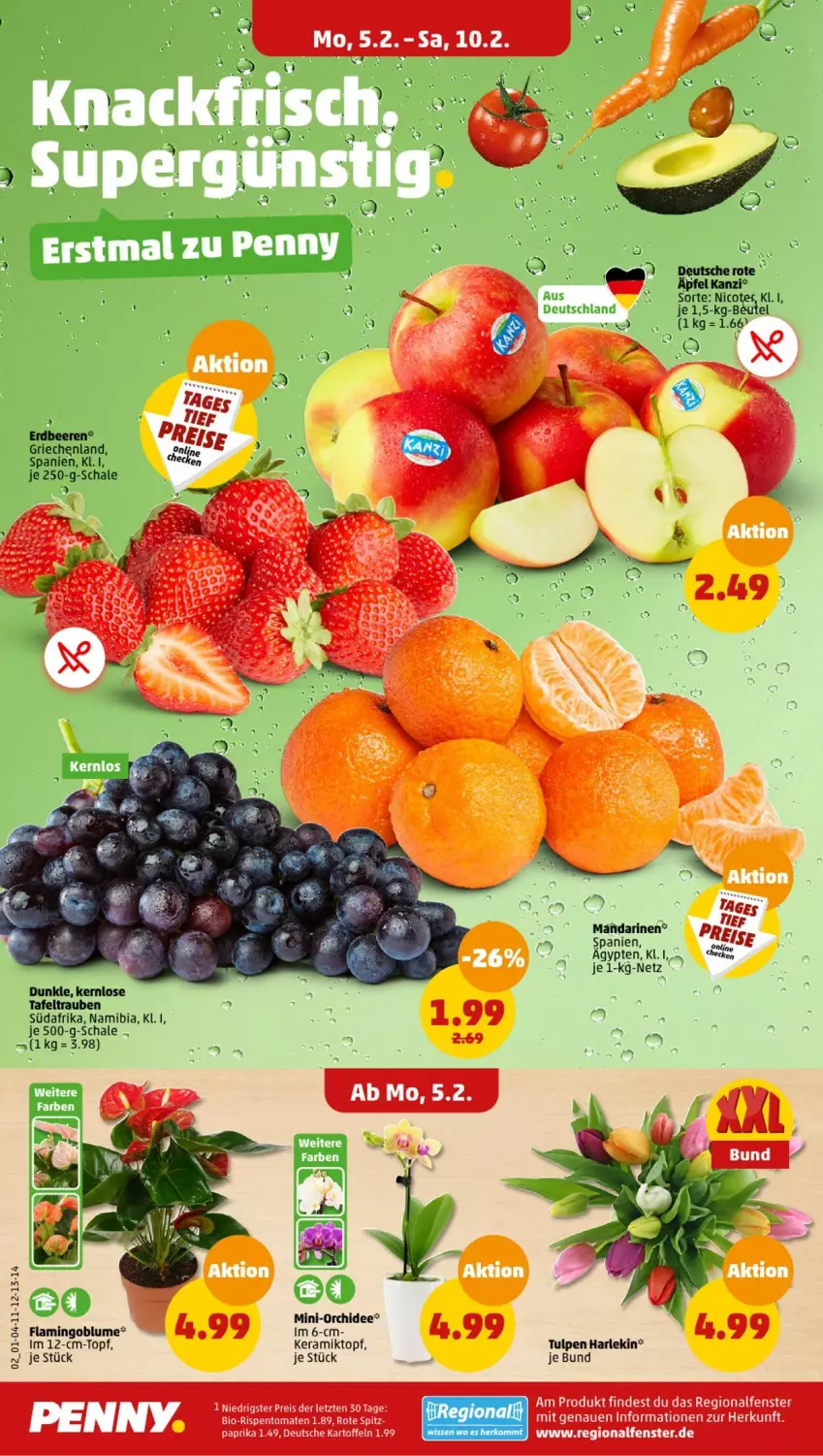 Aktueller Prospekt Penny - Prospekte - von 05.02 bis 10.02.2024 - strona 2 - produkty: beere, beeren, beutel, blume, eis, erdbeere, erdbeeren, fenster, kartoffel, kartoffeln, paprika, reis, Schal, Schale, tafeltrauben, Ti, topf, trauben, ZTE