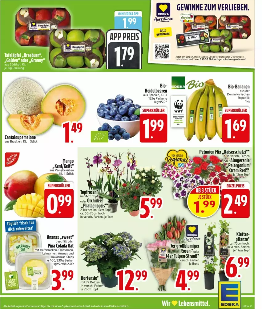 Aktueller Prospekt Edeka - Prospekte - von 13.04 bis 18.04.2026 - strona 5 - produkty: ananas, banane, bananen, Becher, beere, beeren, bio, bio-bananen, chia, chips, cola, deka, eis, gewinnspiel, gutschein, gutscheine, hafer, haferflocken, heidelbeere, heidelbeeren, hortensie, Kaiser, kokos, kokosnuss, mango, melone, nuss, orchidee, petunie, petunien, pflanze, phalaenopsis, reis, rosen, südtiroler, Ti, topf