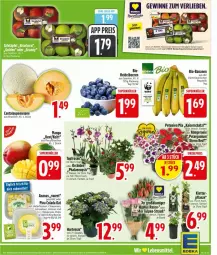 Gazetka promocyjna Edeka - Prospekte - Gazetka - ważna od 18.04 do 18.04.2026 - strona 5 - produkty: ananas, banane, bananen, Becher, beere, beeren, bio, bio-bananen, chia, chips, cola, deka, eis, gewinnspiel, gutschein, gutscheine, hafer, haferflocken, heidelbeere, heidelbeeren, hortensie, Kaiser, kokos, kokosnuss, mango, melone, nuss, orchidee, petunie, petunien, pflanze, phalaenopsis, reis, rosen, südtiroler, Ti, topf