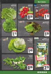 Gazetka promocyjna E Center - Angebote der Woche - Gazetka - ważna od 03.06 do 03.06.2023 - strona 3 - produkty: ball, beutel, bonduelle, eis, eisbergsalat, elle, feldsalat, kräuter, mini-rispentomaten, obst, radieschen, rispentomaten, salat, Schal, Schale, Ti, tomate, tomaten, Wild