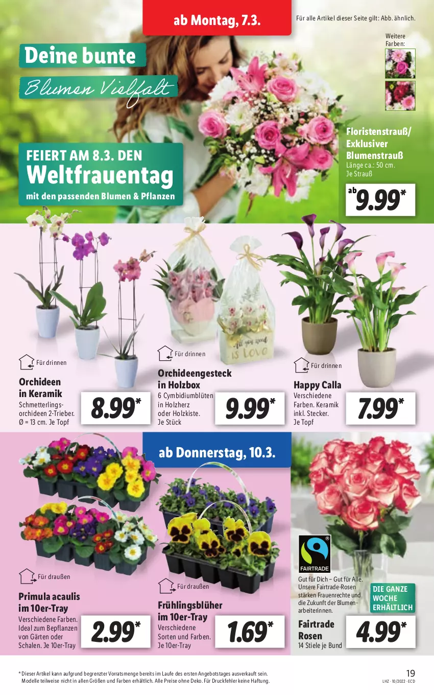 Aktueller Prospekt Lidl - Aktionsprospekt - von 07.03 bis 12.03.2022 - strona 19 - produkty: angebot, blume, blumen, Blumenstrauß, Blüte, dell, eier, eis, elle, Holz, Mett, Mode, orchidee, orchideen, pflanze, pflanzen, reis, rosen, Schal, Schale, Schmetterling, schmetterlingsorchidee, Ti, topf, ZTE