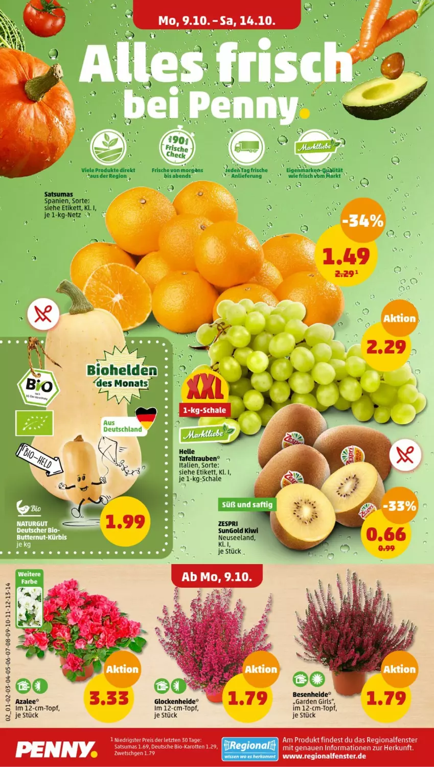 Aktueller Prospekt Penny - Prospekte - von 09.10 bis 14.10.2023 - strona 2 - produkty: bio, bio-karotten, eis, elle, fenster, karotten, kiwi, reis, Schal, Schale, tafeltrauben, Ti, topf, trauben, zespri, ZTE