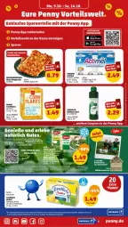 Gazetka promocyjna Penny - Prospekte - Gazetka - ważna od 14.10 do 14.10.2023 - strona 17 - produkty: angebot, angebote, Bad, butter, cin, decke, eis, erde, flakes, iglo, landliebe, mac, margherita, natur, payback, pizza, reis, spinat, Ti, Wild