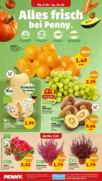 Gazetka promocyjna Penny - Prospekte - Gazetka - ważna od 14.10 do 14.10.2023 - strona 2 - produkty: bio, bio-karotten, eis, elle, fenster, karotten, kiwi, reis, Schal, Schale, tafeltrauben, Ti, topf, trauben, zespri, ZTE