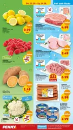 Gazetka promocyjna Penny - Prospekte - Gazetka - ważna od 14.10 do 14.10.2023 - strona 30 - produkty: beere, beeren, blume, blumen, blumenkohl, bockwurst, braten, brustfilet, eis, erde, fenster, filet, fleisch, geschnetzeltes, himbeer, himbeere, himbeeren, kartoffel, kartoffeln, Käse, kasseler, krustenbraten, minutensteaks, pute, Putengeschnetzeltes, regal, ring, Schal, Schale, schwein, schweine, spitzenqualität, steak, steaks, Süßkartoffeln, Ti, wein, weine, wurst, Zelt