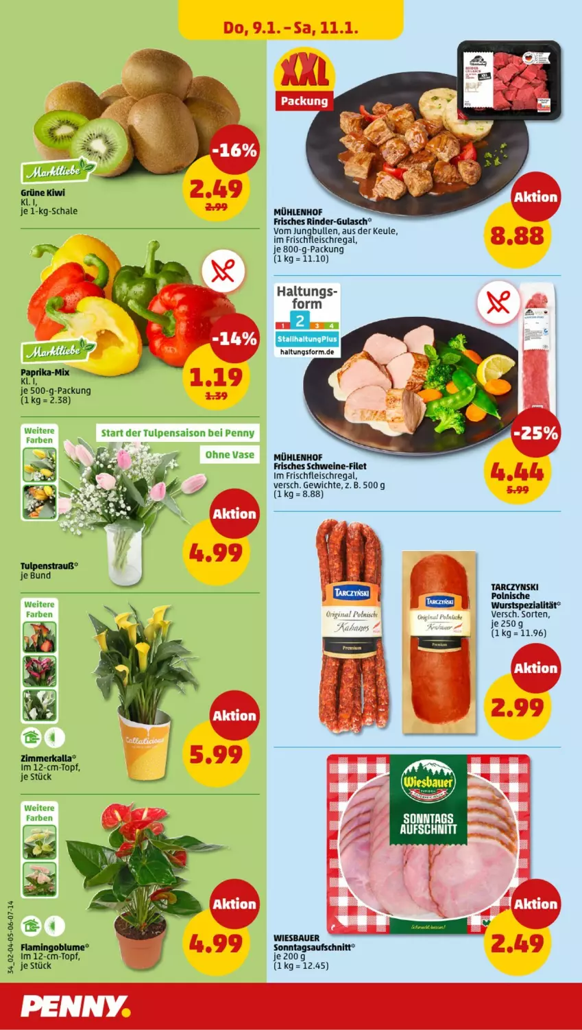 Aktueller Prospekt Penny - Prospekte - von 06.01 bis 11.01.2025 - strona 34 - produkty: aufschnitt, blume, eis, filet, fleisch, gin, gulasch, kiwi, paprika, regal, rind, rinder, Schal, Schale, schwein, schweine, schweine-filet, Spezi, topf, Vase, wein, weine, wurst