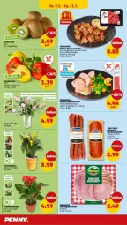 Gazetka promocyjna Penny - Prospekte - Gazetka - ważna od 11.01 do 11.01.2025 - strona 34 - produkty: aufschnitt, blume, eis, filet, fleisch, gin, gulasch, kiwi, paprika, regal, rind, rinder, Schal, Schale, schwein, schweine, schweine-filet, Spezi, topf, Vase, wein, weine, wurst