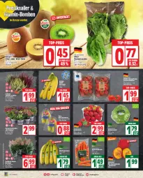 Gazetka promocyjna Edeka - Angebote der Woche - Gazetka - ważna od 02.09 do 02.09.2023 - strona 2 - produkty: asti, banane, bananen, beere, beeren, beutel, bio, deka, edeka bio, eis, eisbergsalat, Elan, erdbeere, erdbeeren, kiwi, Kiwi Gold, Kürbis, möhren, pflanze, Rauch, reis, Romanasalat, Romatomaten, salat, Schal, Schale, snack, speisemöhren, Ti, tomate, tomaten, top-preis, topf, zespri, ZTE