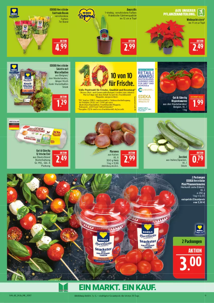 Aktueller Prospekt Marktkauf - Prospekt - von 25.10 bis 31.10.2026 - strona 9 - produkty: Abtei, ball, deka, eier, eis, ente, frucht, LG, magazin, obst, pflaume, pflaumen, Rauch, reis, rispentomaten, rosen, salat, snack, snacks, Ti, tomate, tomaten, topf, und gemüse, Weihnachtsstern, Yo, ZTE, zucchini